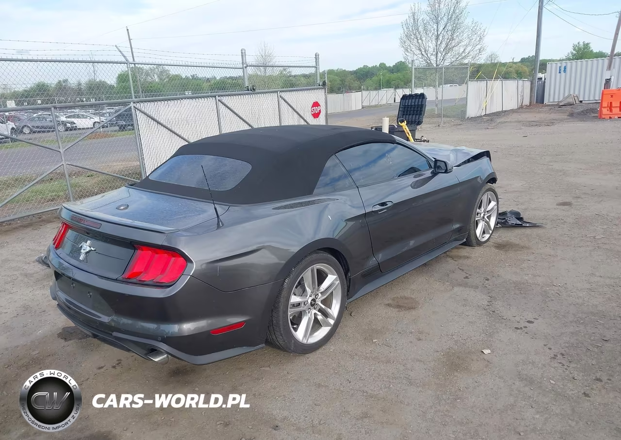 2019 Ford Mustang Ecoboost Premium VIN:1FATP8UH6K5195802 - 4