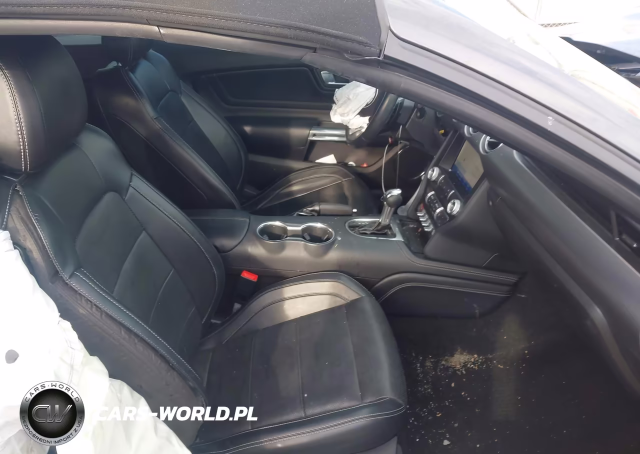 2019 Ford Mustang Ecoboost Premium VIN:1FATP8UH6K5195802 - 5
