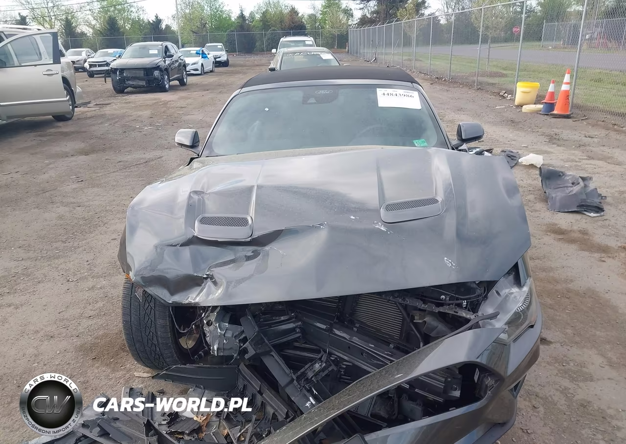 2019 Ford Mustang Ecoboost Premium VIN:1FATP8UH6K5195802 - 6