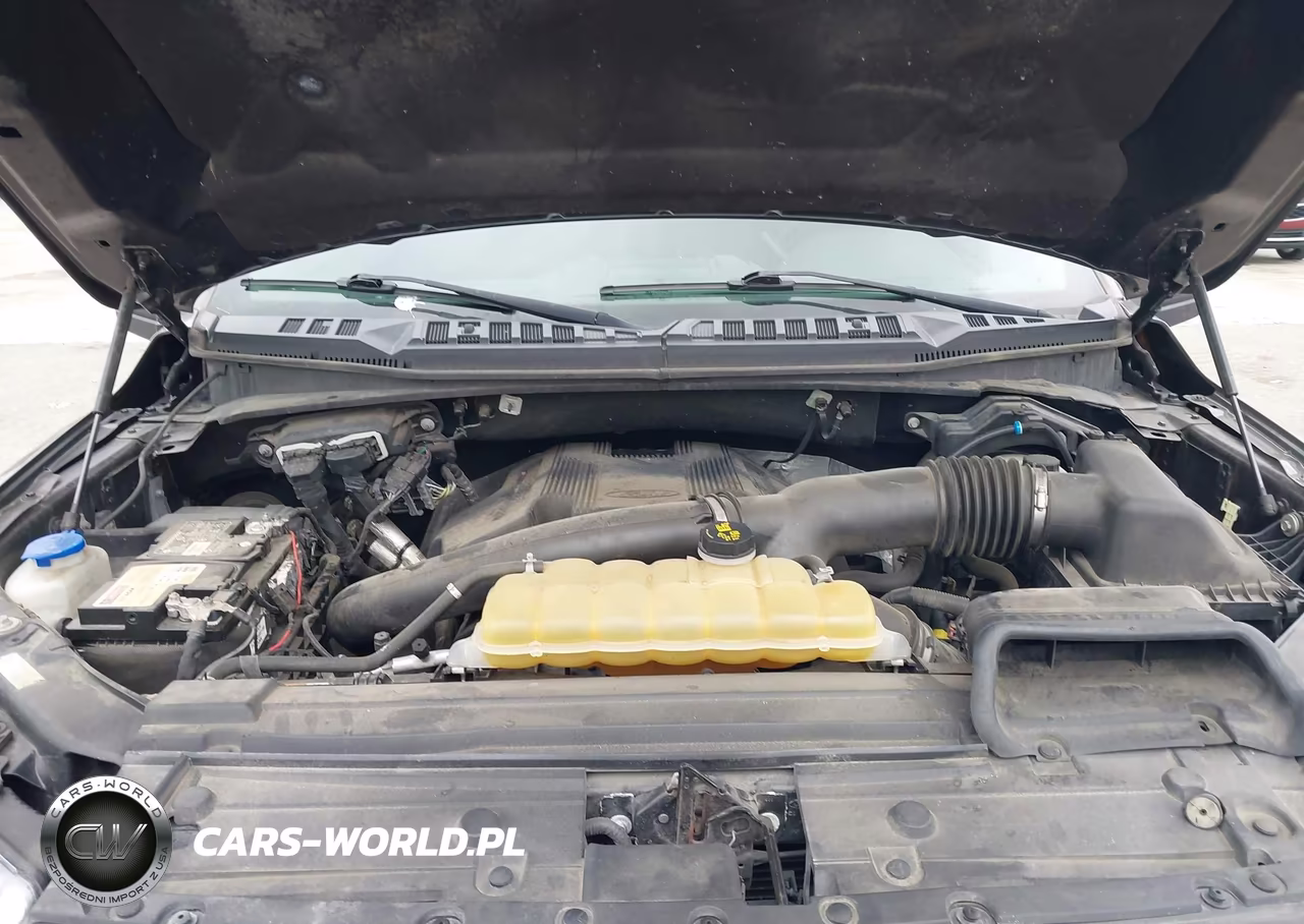 2019 Ford F-150 Xlt VIN:1FTFW1E45KFB29653 - 10