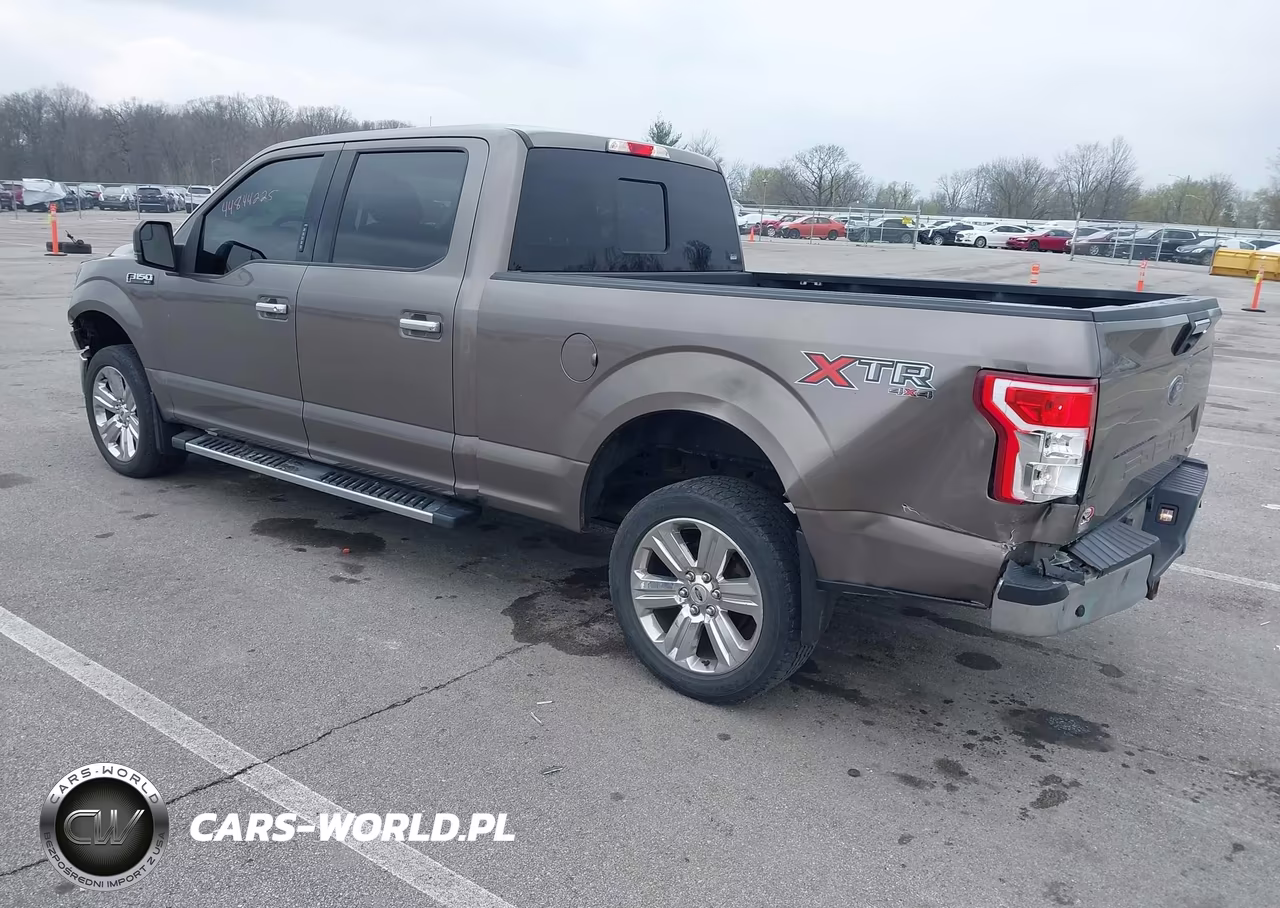 2019 Ford F-150 Xlt VIN:1FTFW1E45KFB29653 - 3