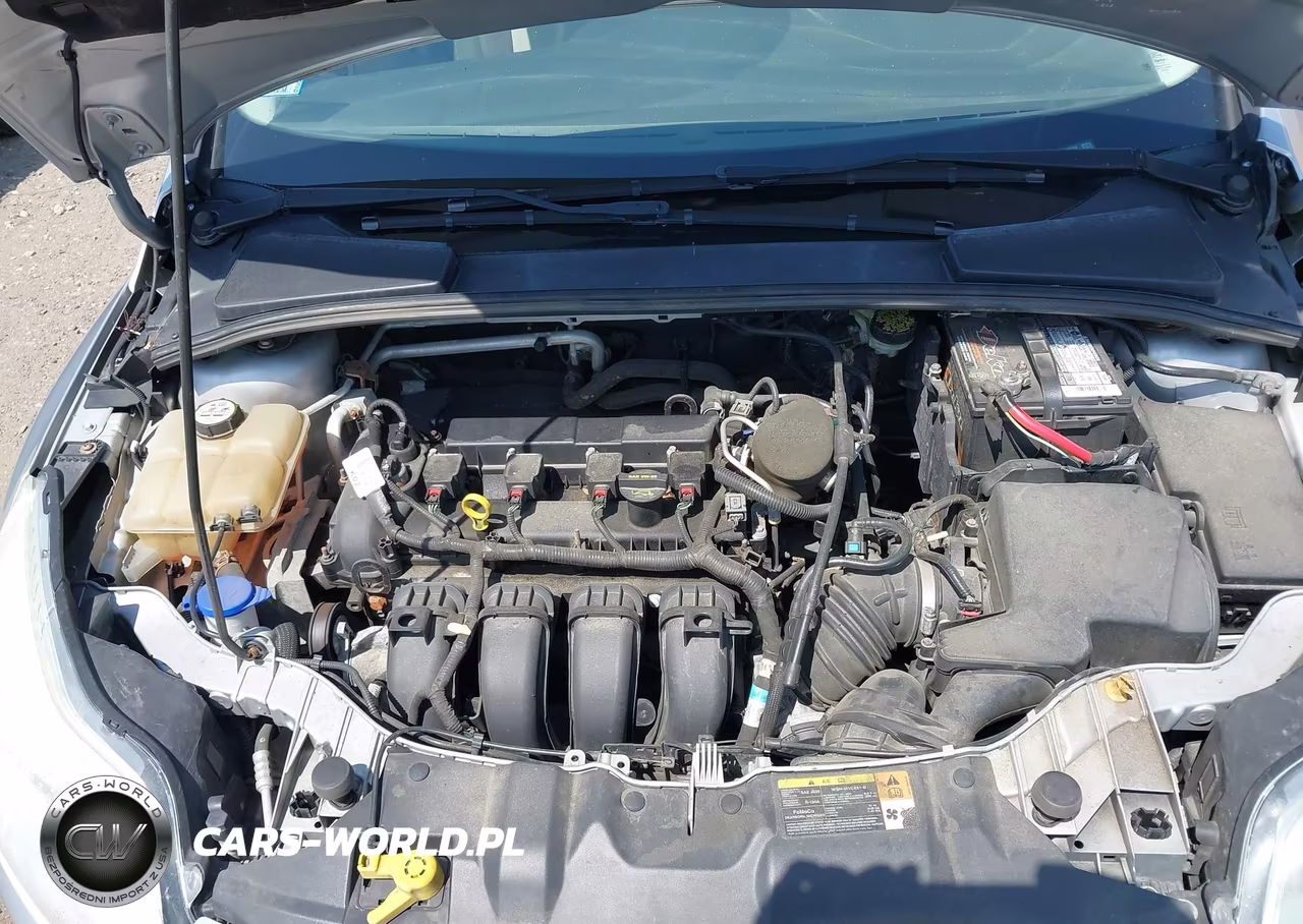 2013 Ford Focus Se VIN:1FADP3F26DL198035 - 10