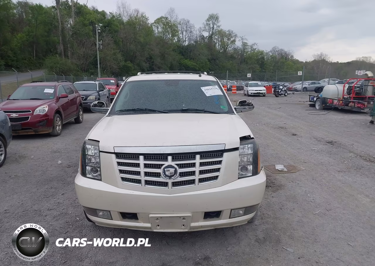 2007 Cadillac Escalade Standard VIN:1GYFK63887R123151 - 11