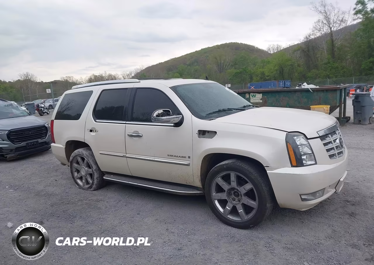 2007 Cadillac Escalade Standard VIN:1GYFK63887R123151 - 12