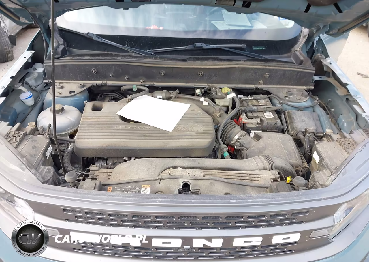 2021 Ford Bronco Sport Badlands VIN:3FMCR9D98MRA46872 - 10