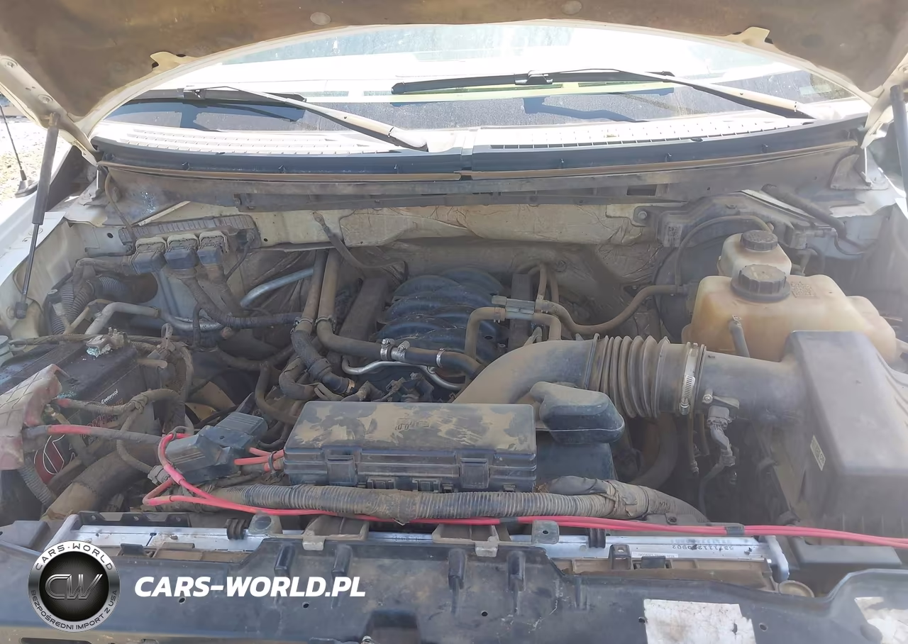 2013 Ford F-150 Xl VIN:1FTFW1EF4DKF54275 - 10