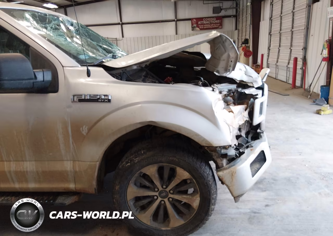 2019 Ford F-150 Xl VIN:1FTEW1E58KKE56933 - 17