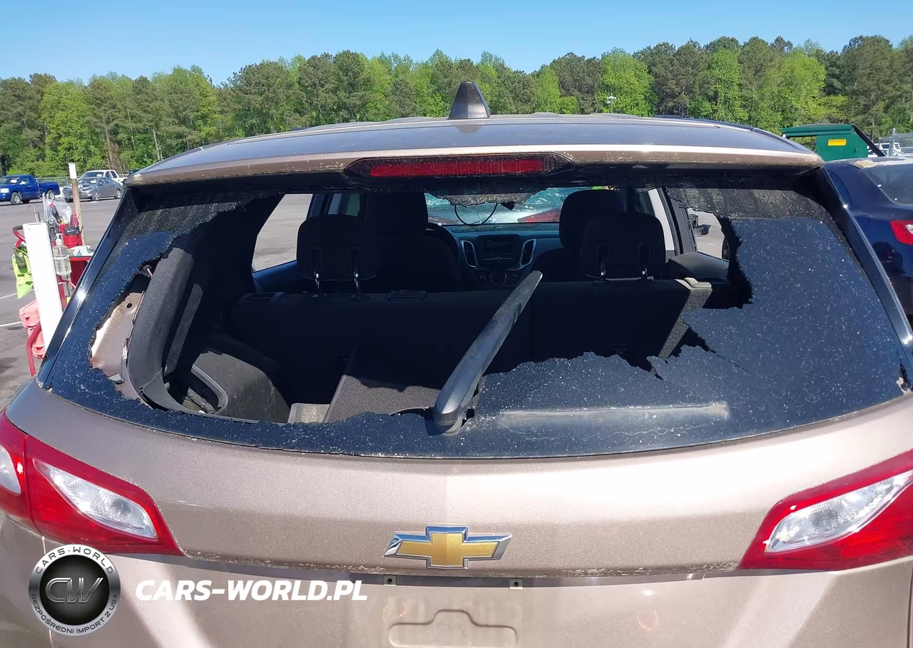 2019 Chevrolet Equinox Lt VIN:2GNAXKEV4K6174364 - 18