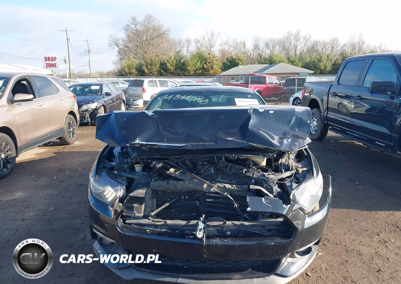 2015 Ford Mustang Ecoboost VIN:1FA6P8TH2F5412184 - 12