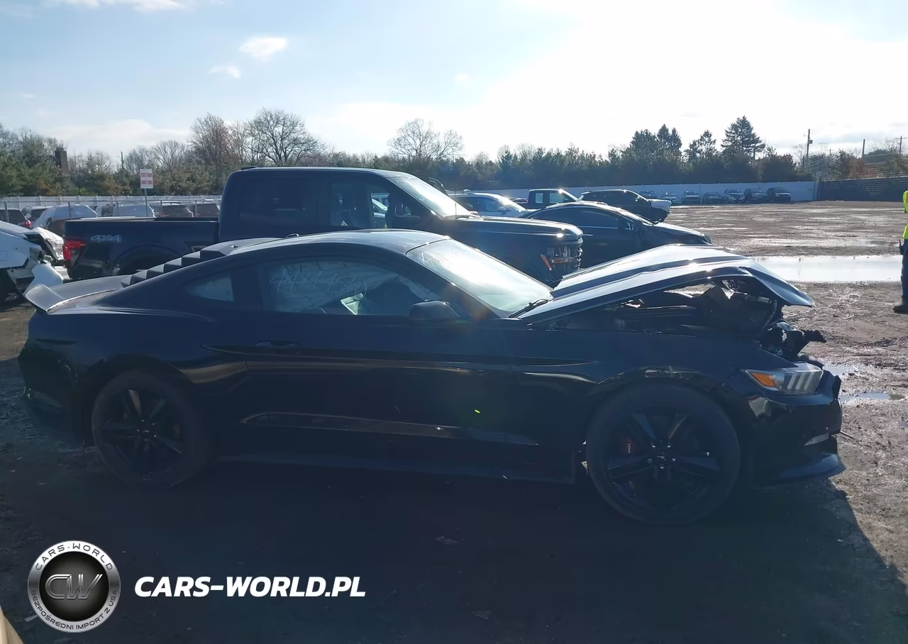2015 Ford Mustang Ecoboost VIN:1FA6P8TH2F5412184 - 13