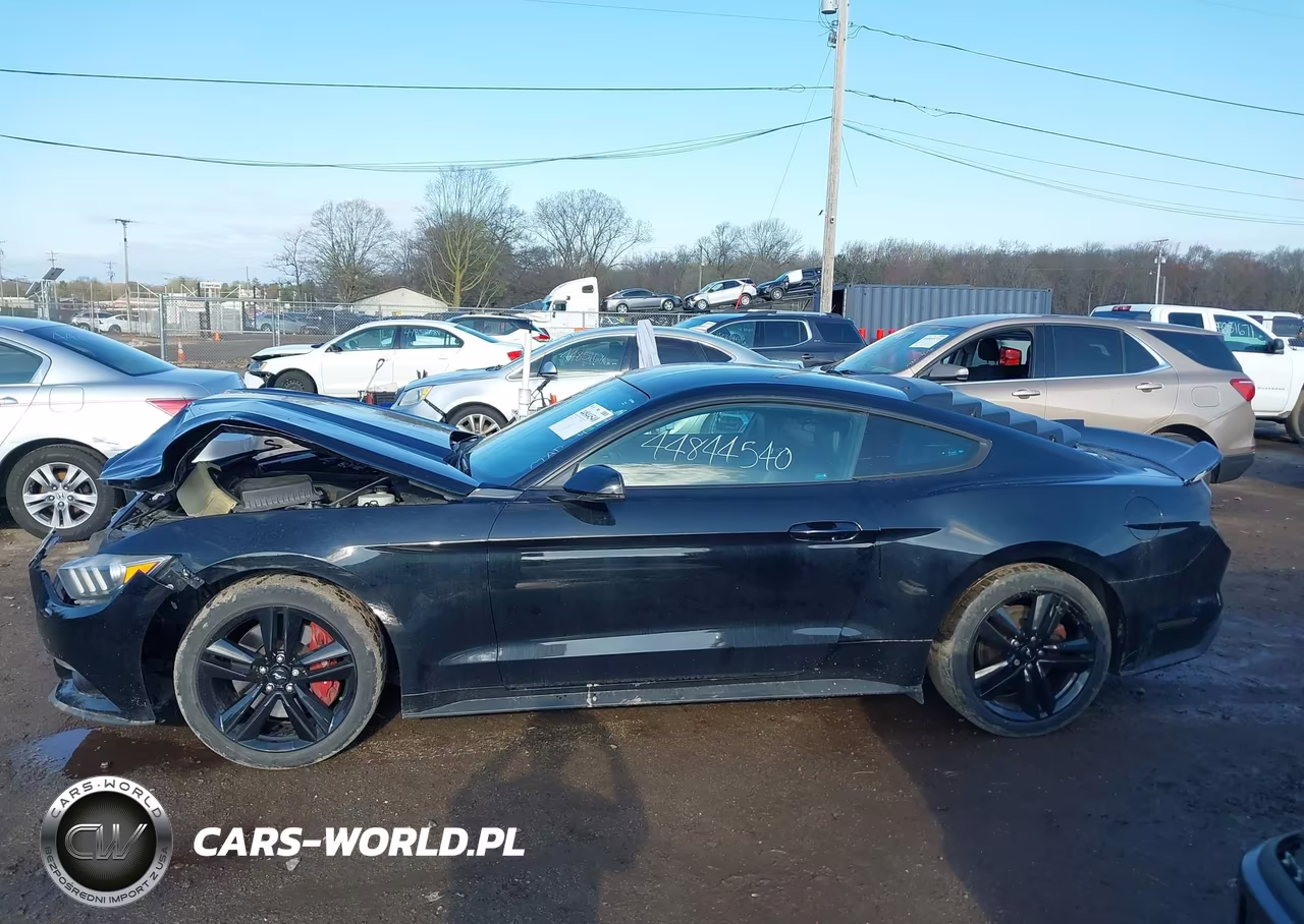 2015 Ford Mustang Ecoboost VIN:1FA6P8TH2F5412184 - 14
