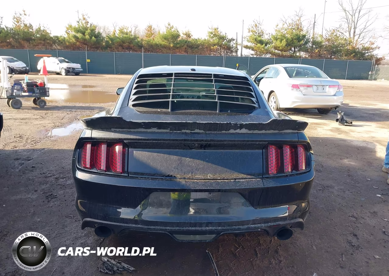2015 Ford Mustang Ecoboost VIN:1FA6P8TH2F5412184 - 16