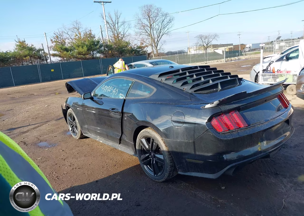 2015 Ford Mustang Ecoboost VIN:1FA6P8TH2F5412184 - 3