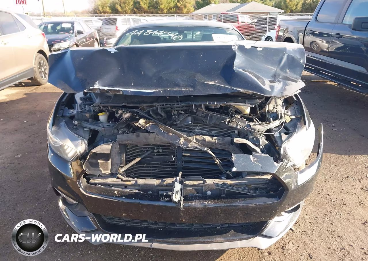 2015 Ford Mustang Ecoboost VIN:1FA6P8TH2F5412184 - 6