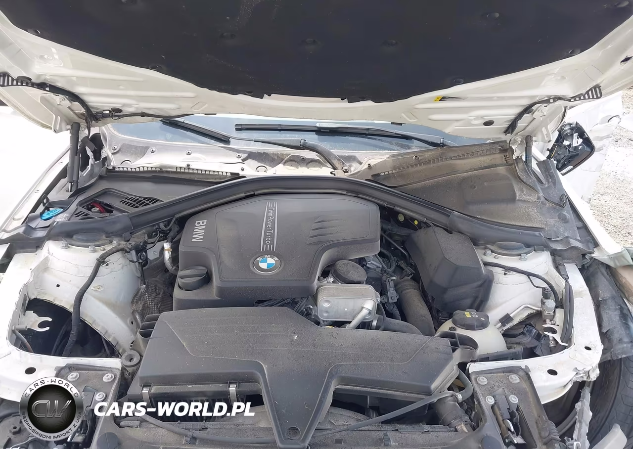 2017 BMW 320I VIN:WBA8E1G32HNU18016 - 10