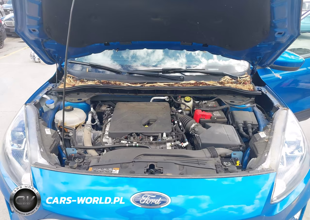 2020 Ford Escape Sel VIN:1FMCU0H60LUA57916 - 10