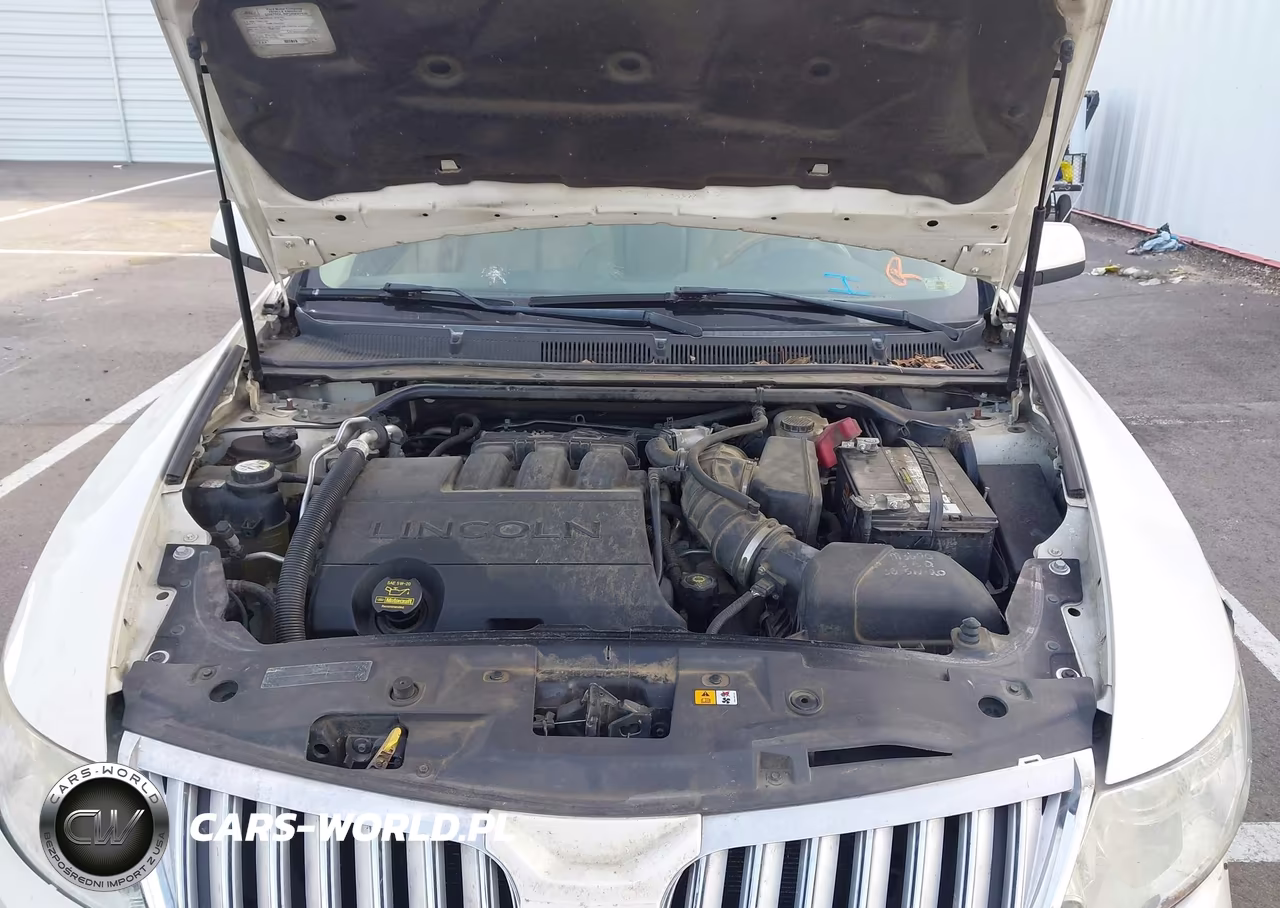 2009 Lincoln Mks VIN:1LNHM93R49G602146 - 10
