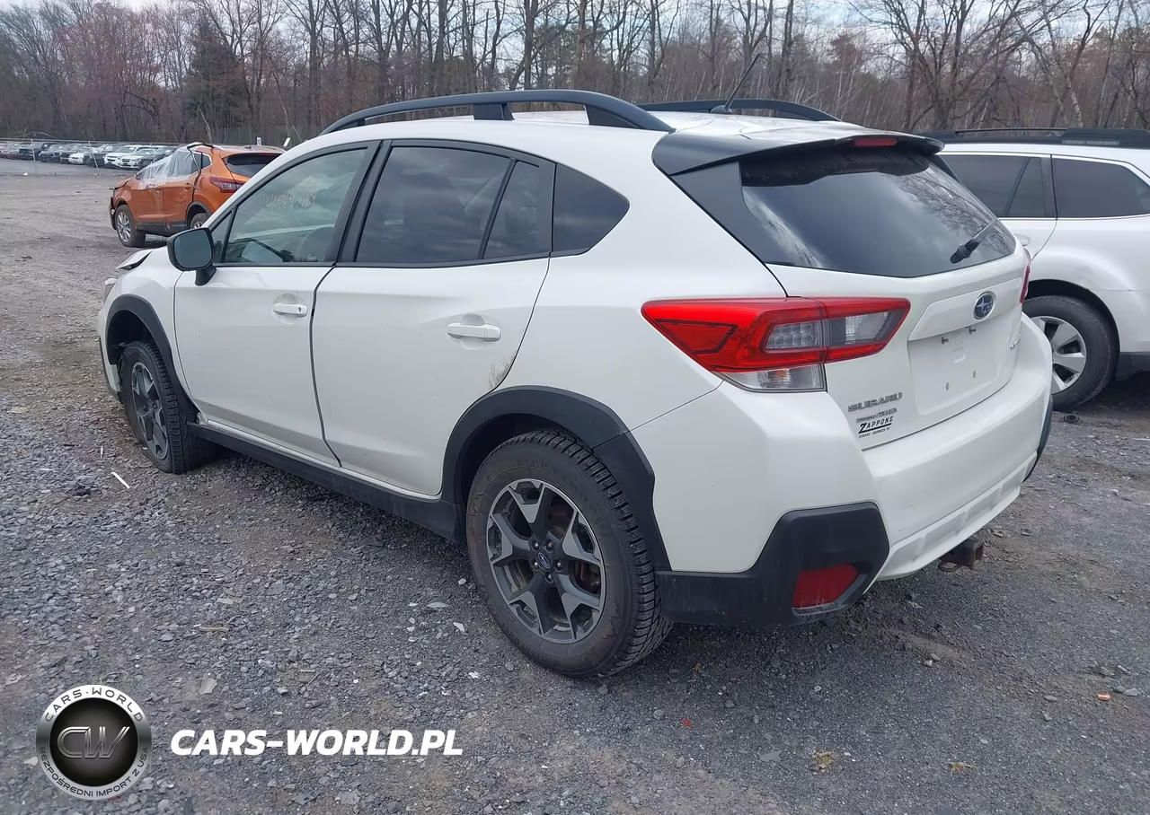2020 Subaru Crosstrek VIN:JF2GTAAC9L9258619 - 3