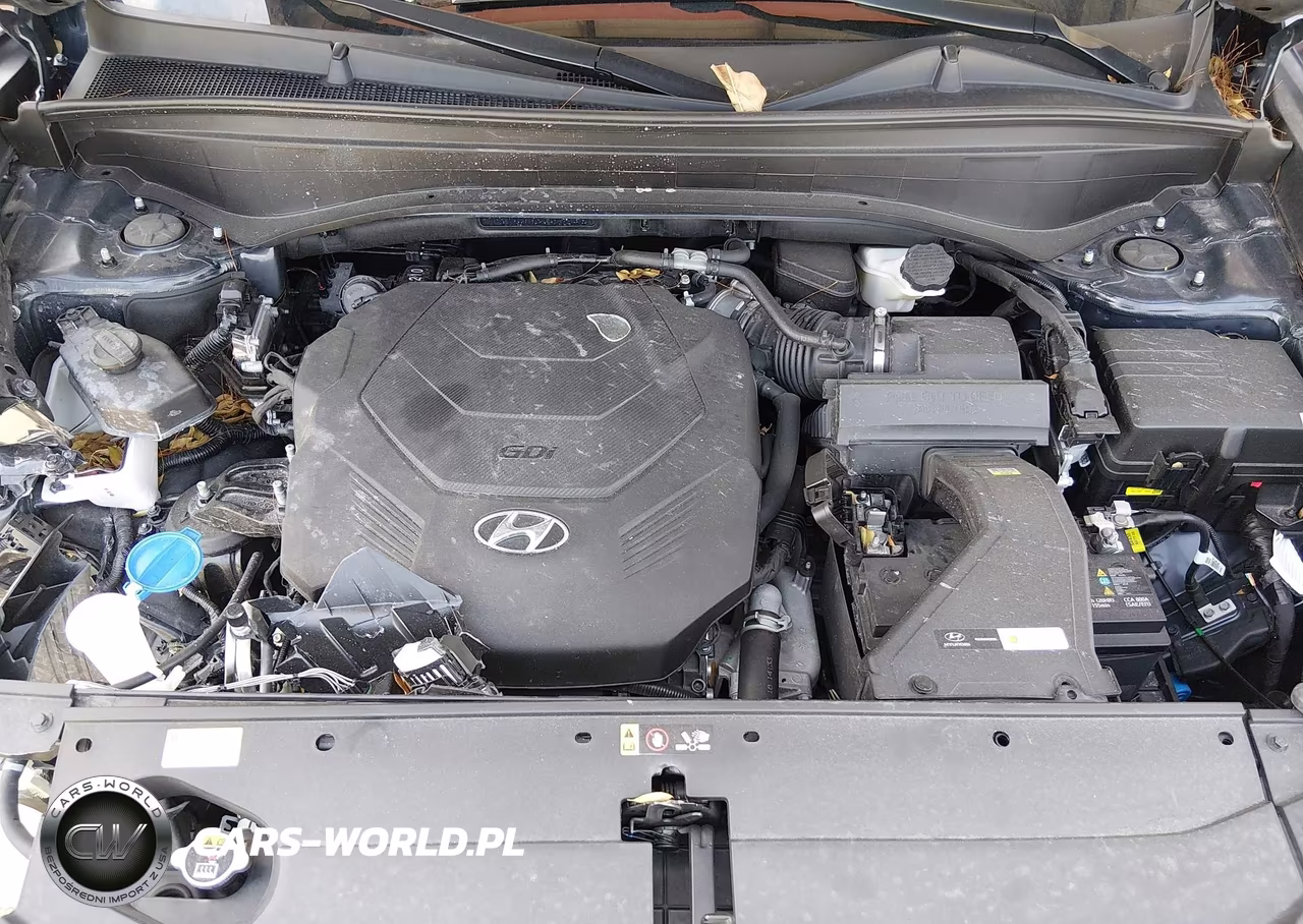 2024 Hyundai Palisade Sel VIN:KM8R44GE5RU707245 - 10