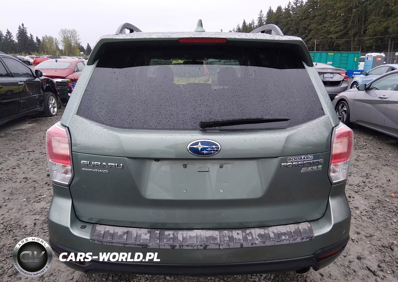 2017 Subaru Forester 2.5I Limited VIN:JF2SJAJC7HH566532 - 16