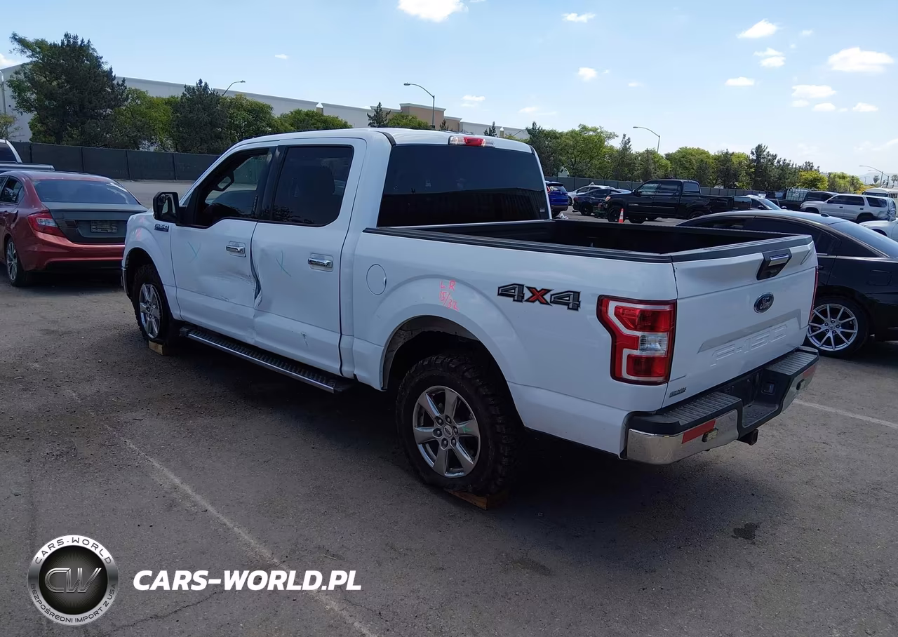 FORD F-150 VIN:1FTEW1E53KKE41188 - 3