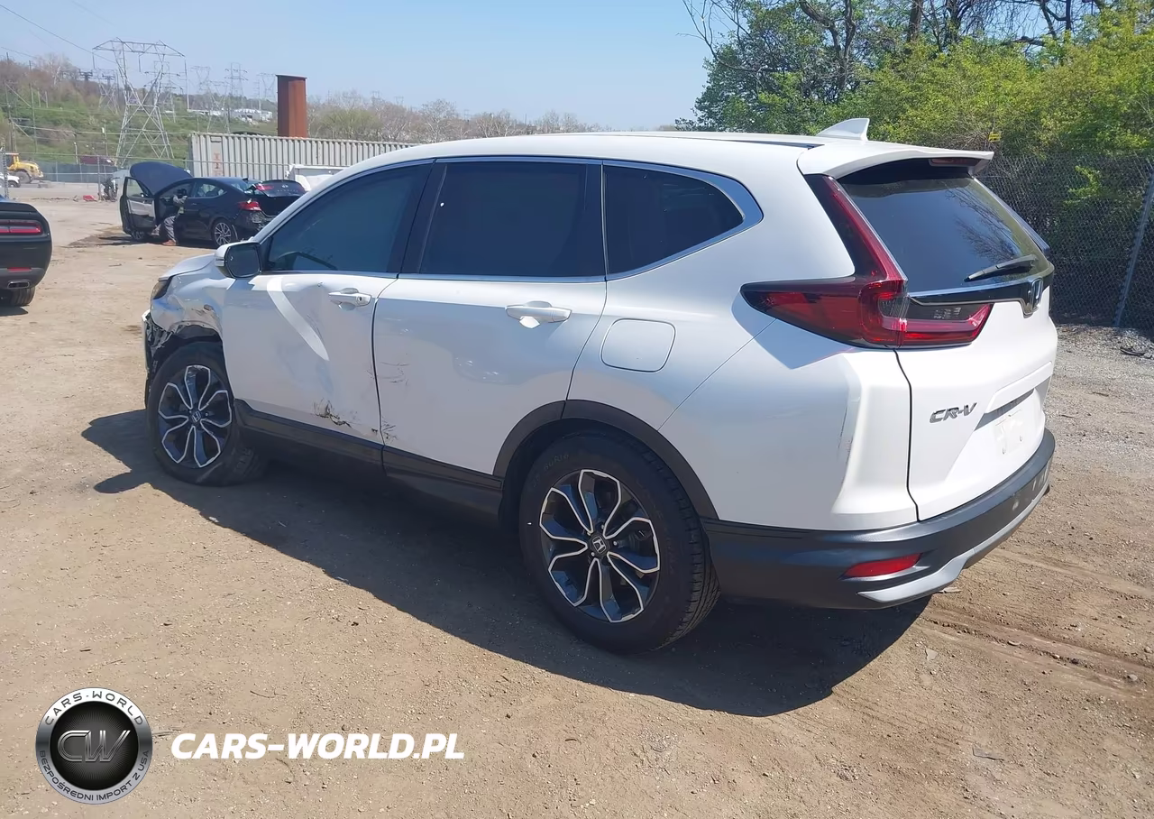 2020 Honda Cr-V 2Wd Ex-L VIN:5J6RW1H80LL012099 - 3