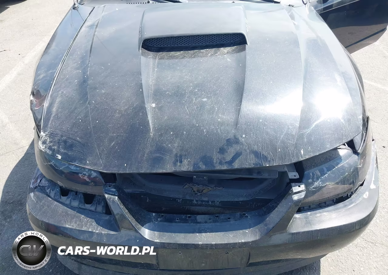 2004 Ford Mustang Gt VIN:1FAFP42X04F109235 - 10