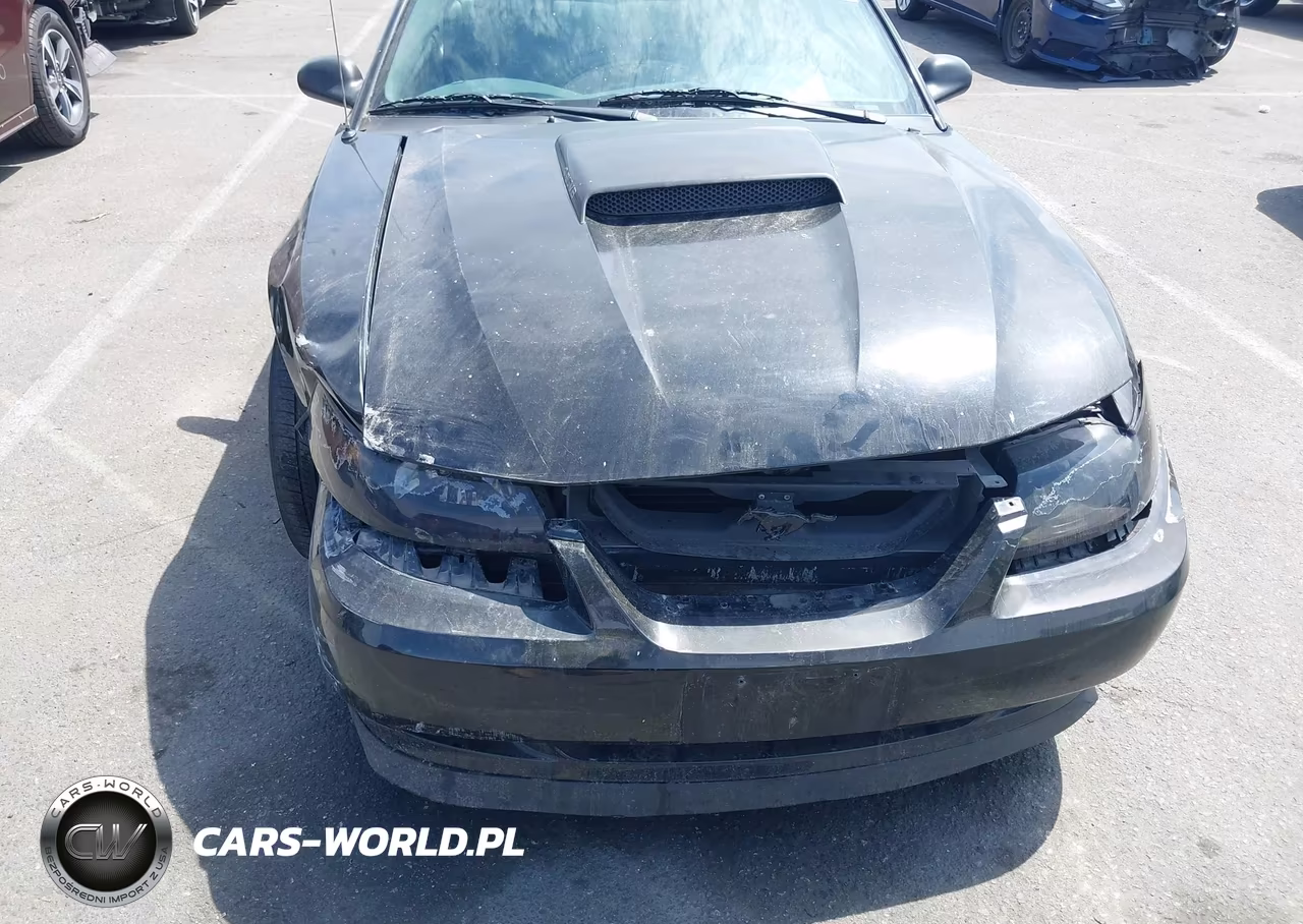 2004 Ford Mustang Gt VIN:1FAFP42X04F109235 - 12