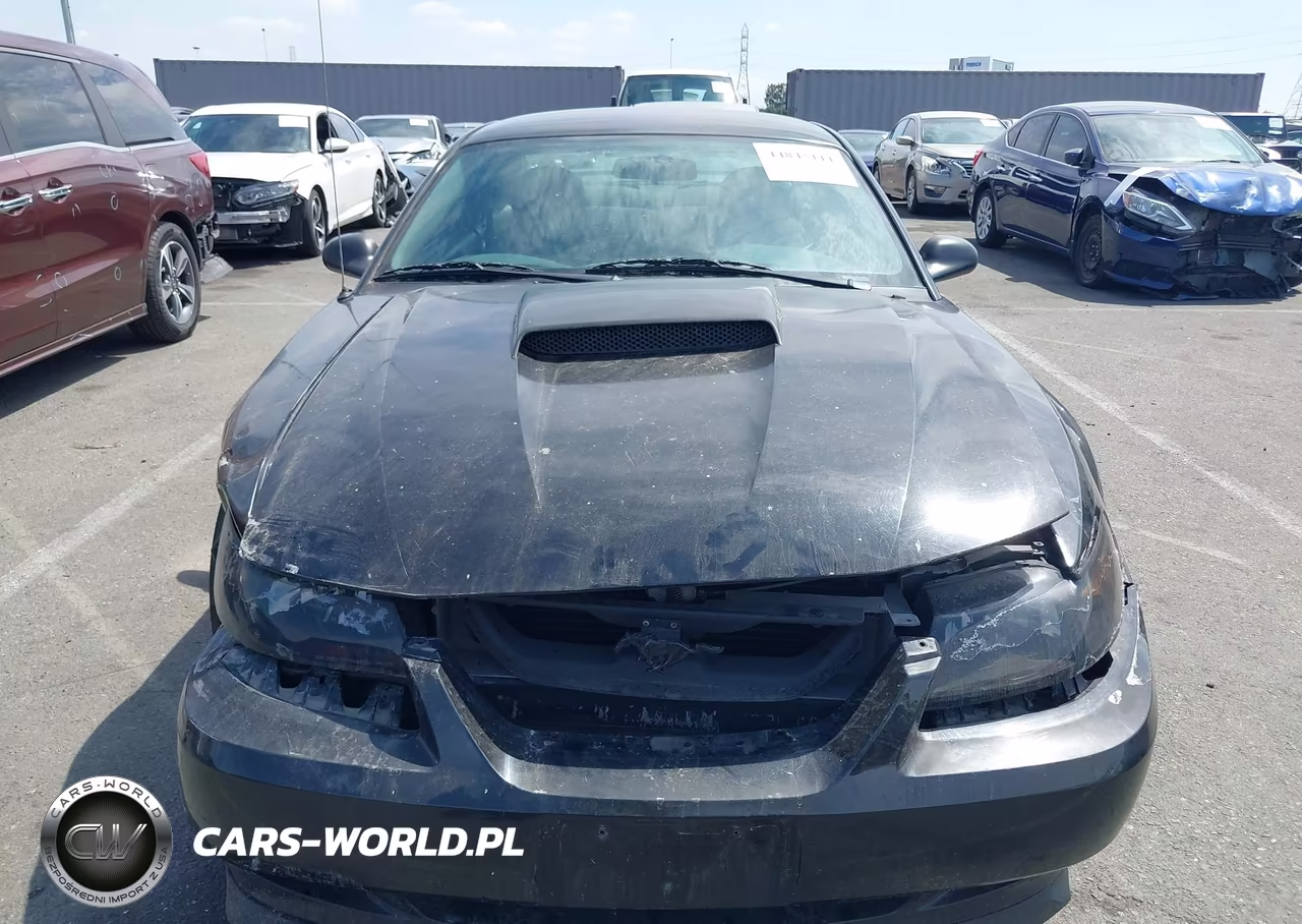 2004 Ford Mustang Gt VIN:1FAFP42X04F109235 - 13