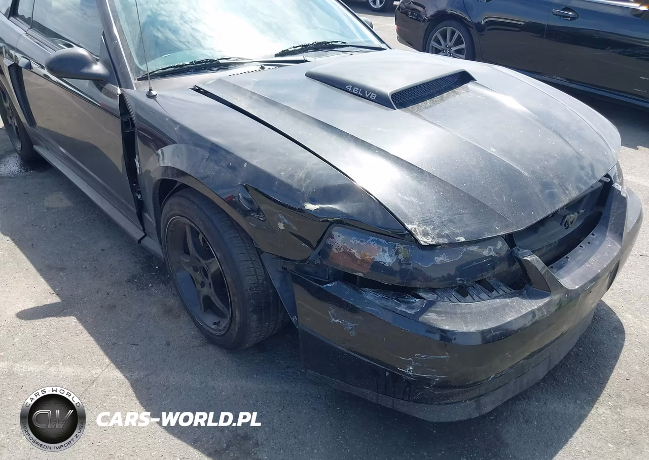 2004 Ford Mustang Gt VIN:1FAFP42X04F109235 - 6