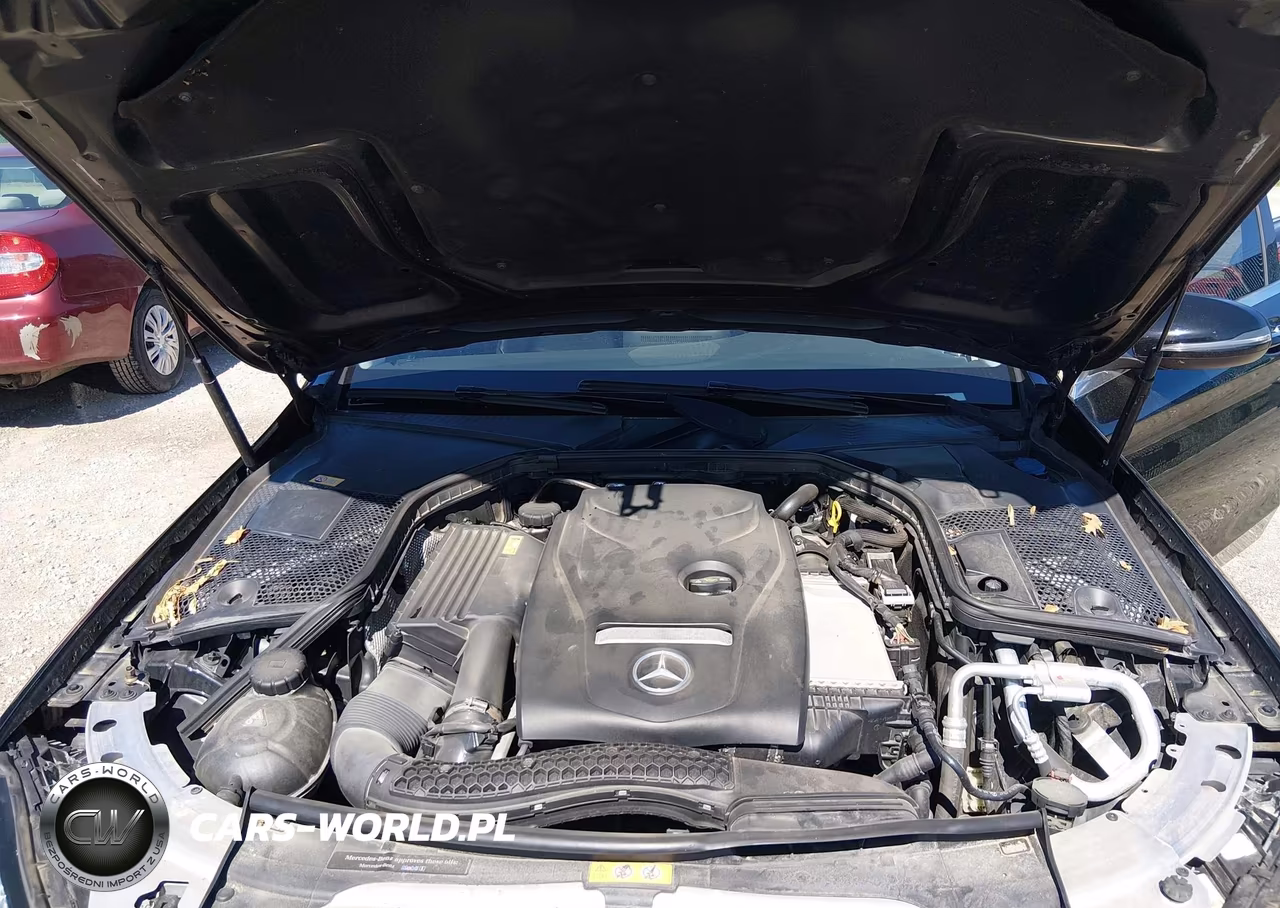 2016 Mercedes-Benz C 300 4Matic VIN:55SWF4KB7GU148364 - 10