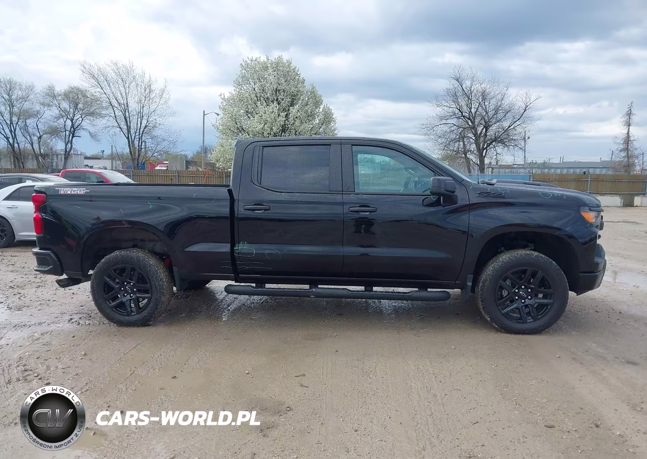 2025 Chevrolet Silverado 1500 4Wd Standard Bed Custom Trail Boss VIN:3GCPKCEK0SG298049 - 13