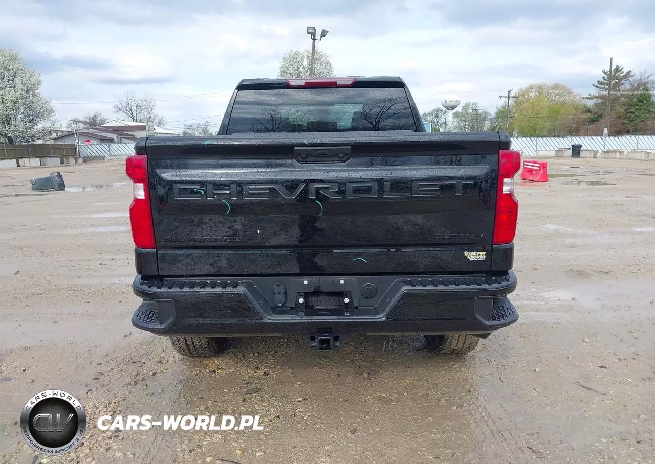 2025 Chevrolet Silverado 1500 4Wd Standard Bed Custom Trail Boss VIN:3GCPKCEK0SG298049 - 16