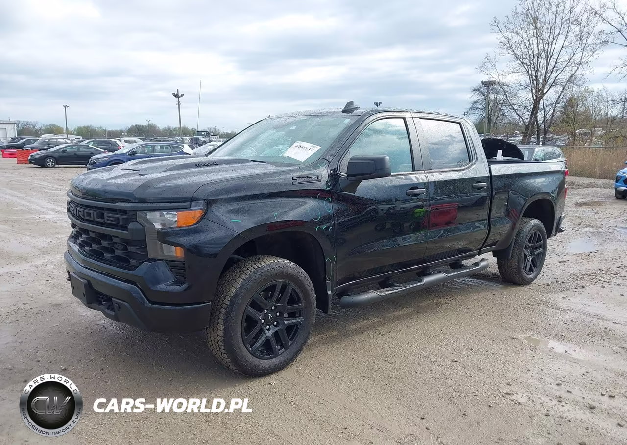 2025 Chevrolet Silverado 1500 4Wd Standard Bed Custom Trail Boss VIN:3GCPKCEK0SG298049 - 2