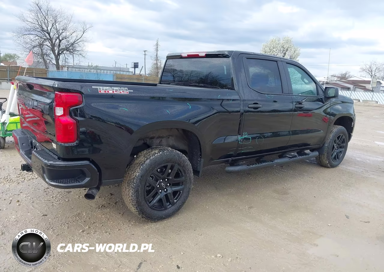 2025 Chevrolet Silverado 1500 4Wd Standard Bed Custom Trail Boss VIN:3GCPKCEK0SG298049 - 4