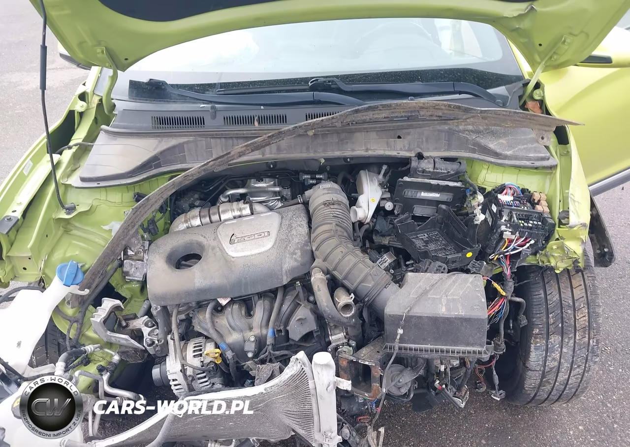 2019 Hyundai Kona Ultimate VIN:KM8K53A55KU267390 - 10