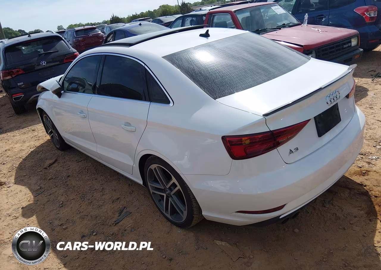 2019 Audi A3 40 Premium-40 Titanium Premium VIN:WAUAUGFF3KA068347 - 3