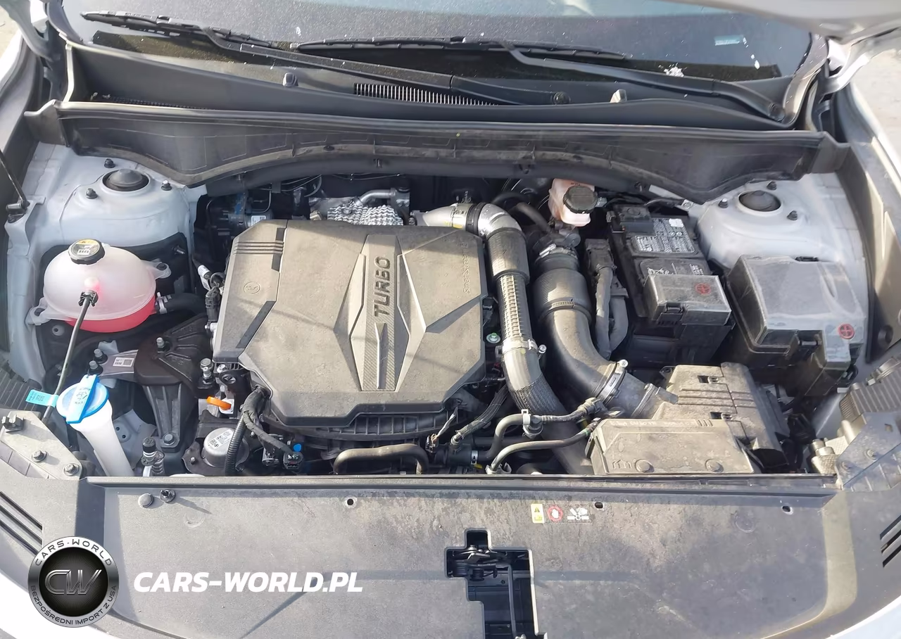 2023 Kia Sorento Sx Prestige VIN:5XYRKDLF2PG234492 - 10