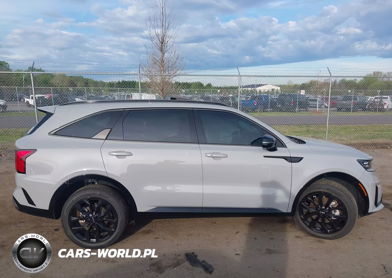 2023 Kia Sorento Sx Prestige VIN:5XYRKDLF2PG234492 - 13