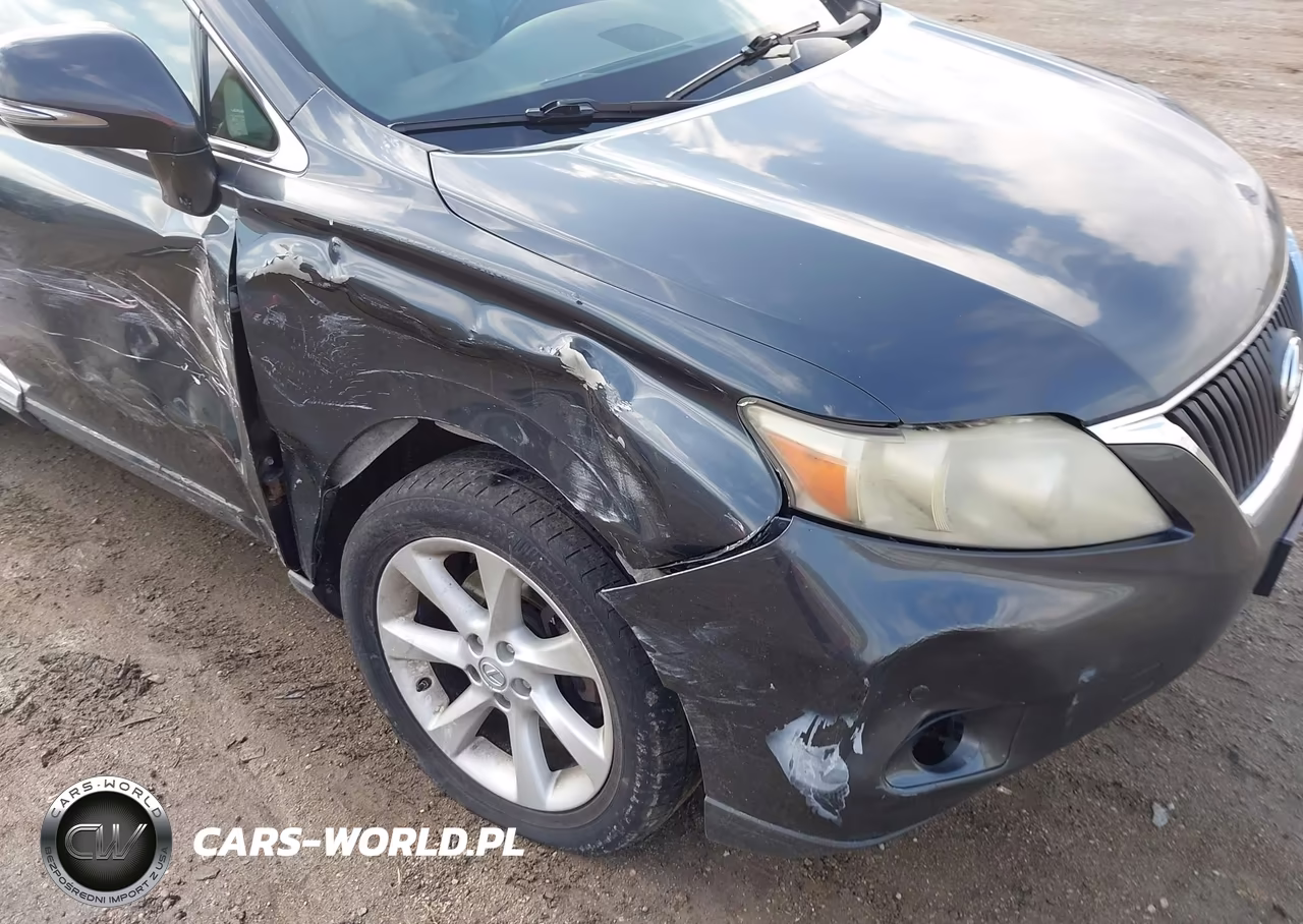 2010 Lexus Rx 350 VIN:JTJBK1BA8A2427668 - 6