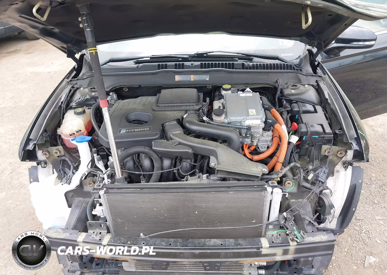 2016 Ford Fusion Hybrid Se VIN:3FA6P0LU6GR288210 - 10