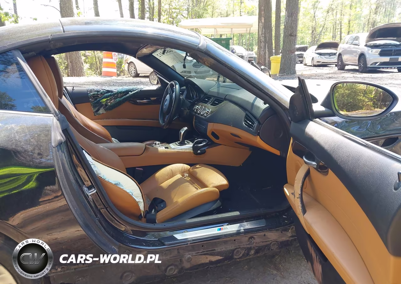 2013 BMW Z4 Sdrive35Is VIN:WBALM1C5XDE633979 - 5