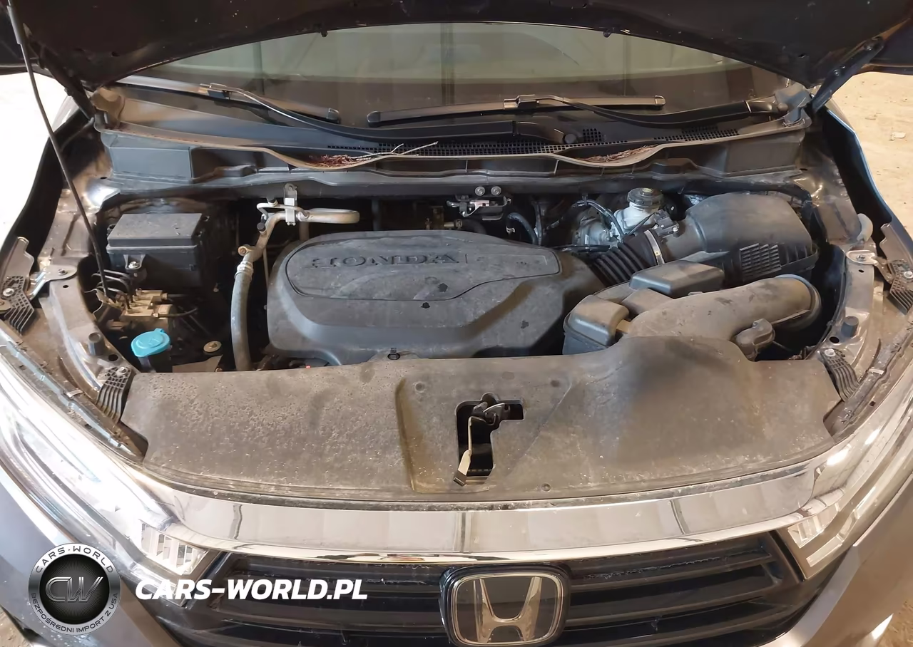 2024 Honda Odyssey Elite VIN:5FNRL6H97RB036125 - 10