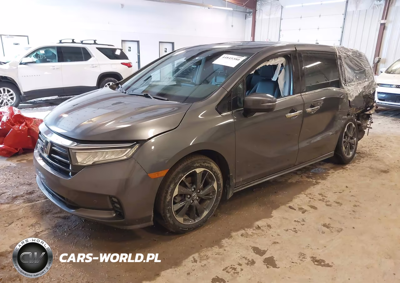 2024 Honda Odyssey Elite VIN:5FNRL6H97RB036125 - 2