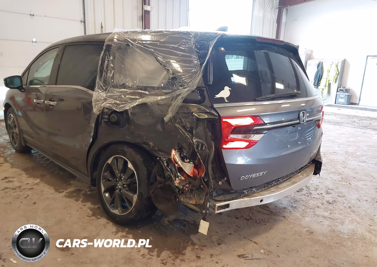 2024 Honda Odyssey Elite VIN:5FNRL6H97RB036125 - 6