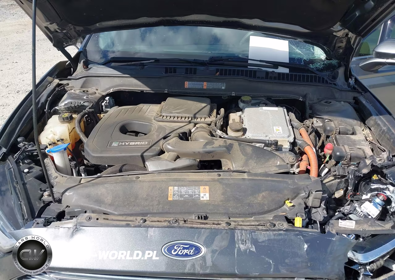 2016 Ford Fusion Hybrid Se VIN:3FA6P0LU9GR189204 - 10