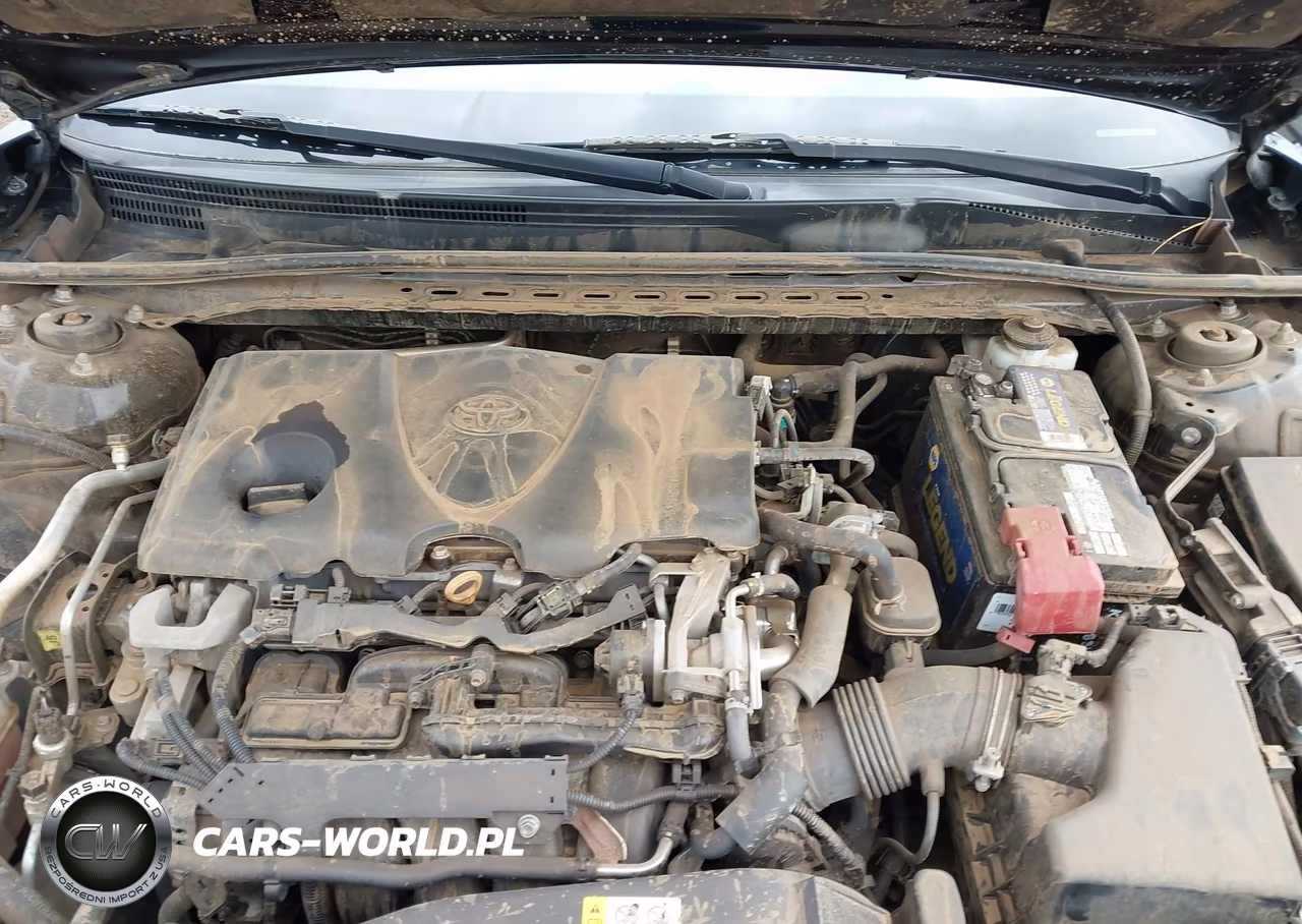 2019 Toyota Camry Le VIN:4T1B11HK4KU843336 - 10