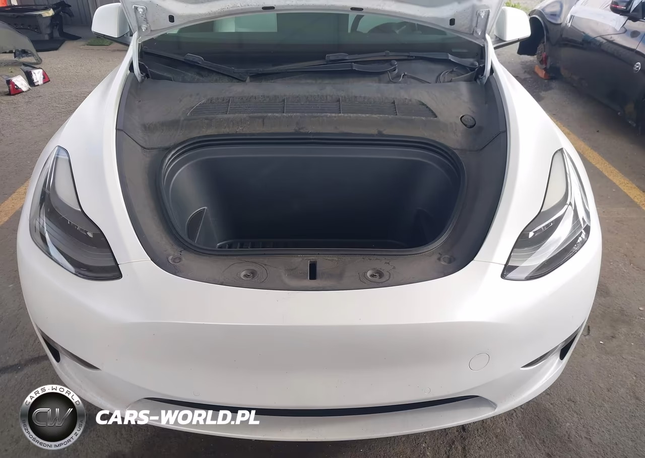 2022 Tesla Model Y Performance Dual Motor All-Wheel Drive VIN:7SAYGDEF3NF530381 - 10
