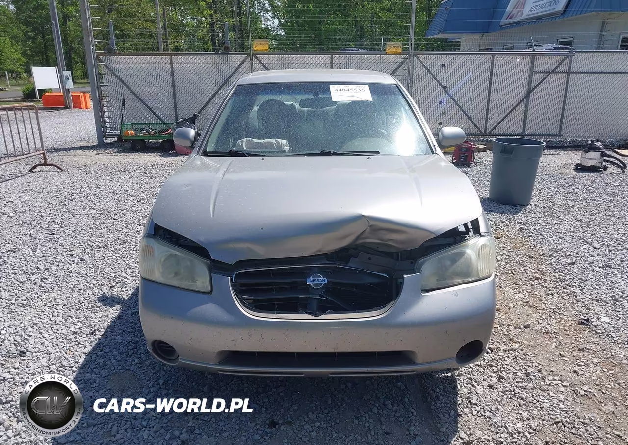 2001 Nissan Maxima Gxe VIN:JN1CA31D81T824683 - 12