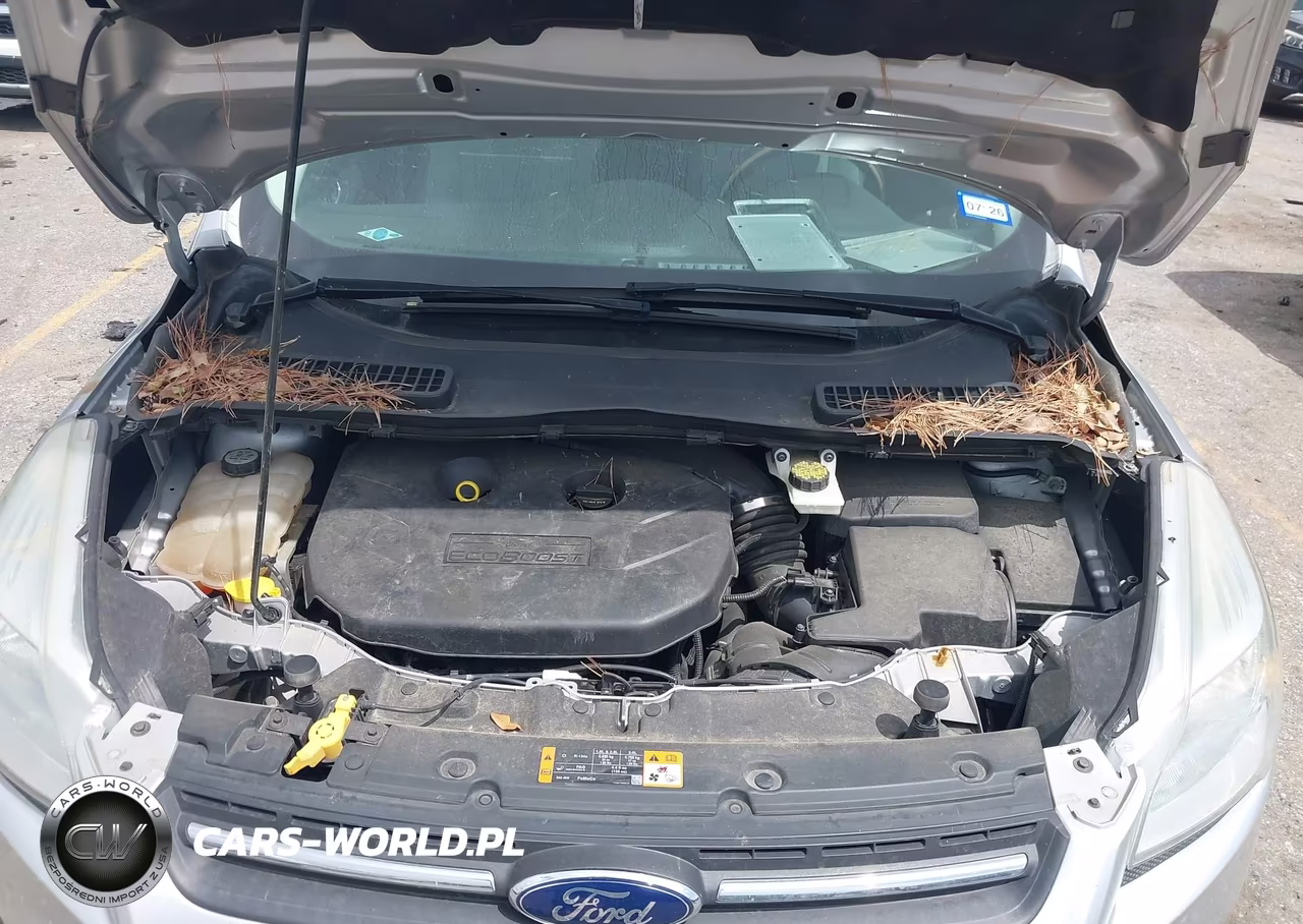 2013 Ford Escape Se VIN:1FMCU0G94DUD17392 - 10